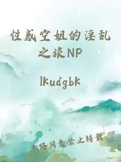 性感空姐的淫乱之旅NP